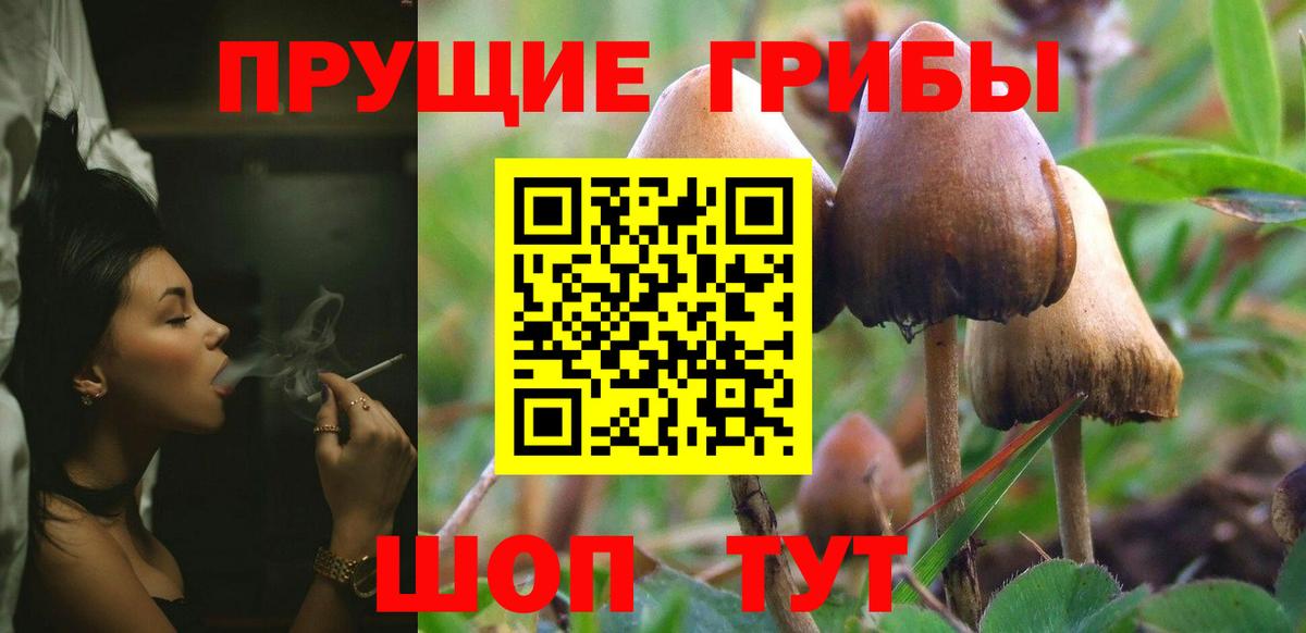 Галлюциногенные грибы мухоморы Энгельс